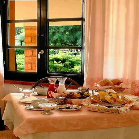 Hotel Sa Pedrera Country 3*
